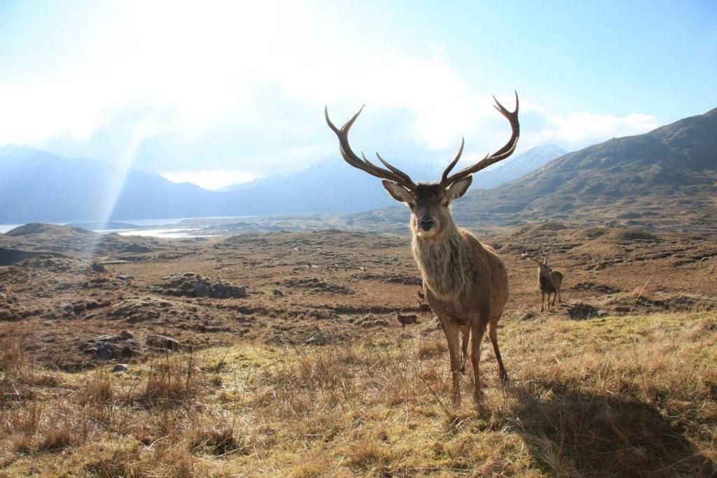 Glencroft A Fairytale Highland Cottage أبرفلدي المظهر الخارجي الصورة